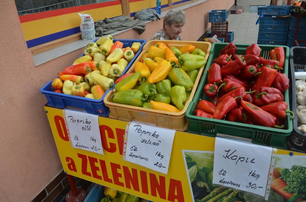 Dolní Kounice: 20 až 30 korun