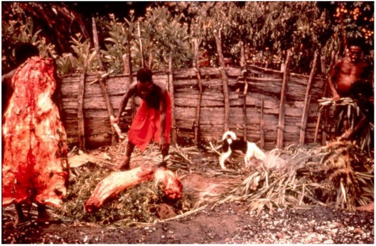Papuánský kmen Fore ctil kanibalismus jako jeden z pohřebních rituálů.
