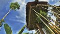 Stromové domy se staví ve výškách i více než 35 metrů. Chrání před komáry i vetřelci.