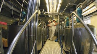 Bongrain přesune část výroby sýrů ze Slovenska do Hodonína
