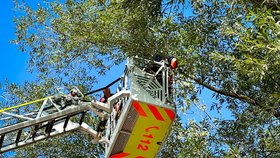 Hasiči zachraňovali paraglidistku, která se v Ostravici zamotala do koruny stromů.