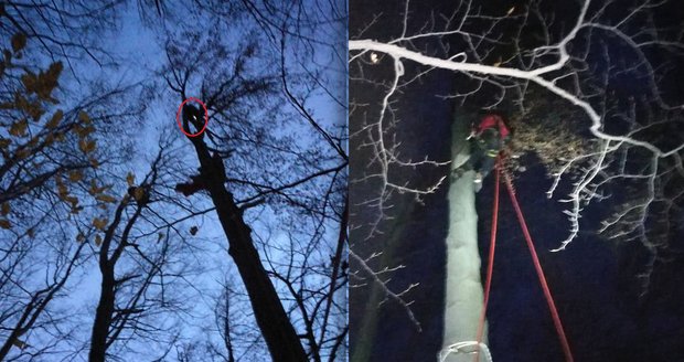 Dramatická záchrana paraglidisty: Hned po startu ho vítr zanesl do stromů