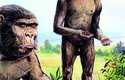 Paranthropus robustus (tedy Australopiték robustní) žil před 2–1,5 milionu let souběžně s Homo habilis a Homo erectus