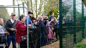 Návstěvníci mini zoo si fotí lvi.