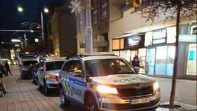 Dívka (18) zneškodnila lupiče u zlatnictví.