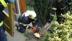 Kvůli záchraně 300kilové diabetičky museli hasiči vybourat kus domu a pokácet strom