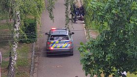 Mladíka policie po činu zadržela.