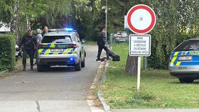 Mladíka policie po činu zadržela.