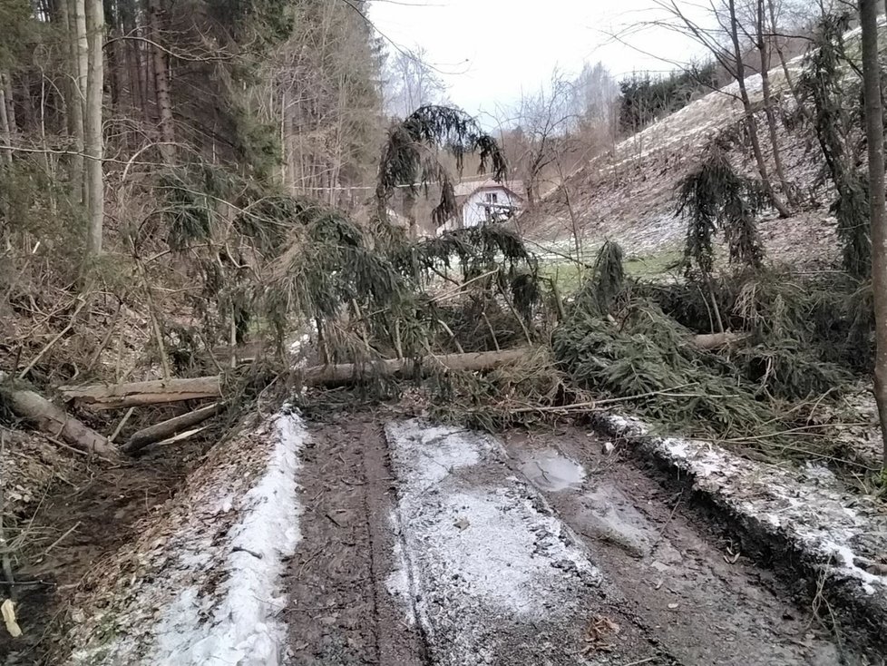 Zásahy kvůli vichru v Pardubickém kraji (4. 2. 2022)