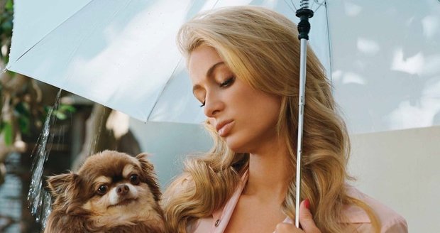 Paris Hiltonové zemřela její milovaná čivava.