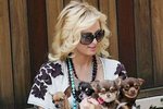 Paris Hilton: Postavila svým psům vlastní vilu!