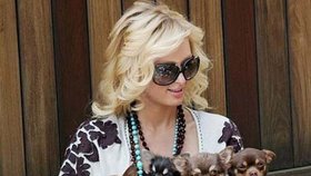 Paris Hilton: Postavila svým psům vlastní vilu!