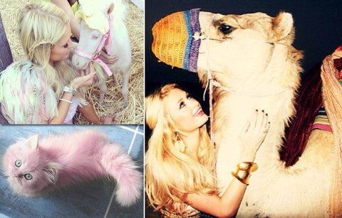 Trapička Paris Hilton: Podívejte se, co dělá zvířatům!