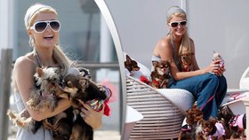 Paris Hilton je milovnicí zvířat a hlavně Čivav. Navíc je fanatickou milovnicí psích oblečků