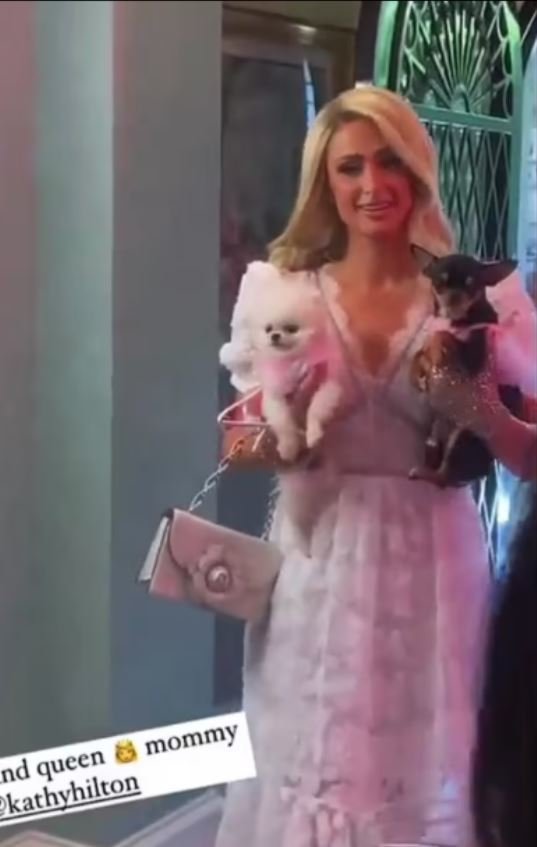 Pohádková rozlučka se svobodou pro Paris Hilton