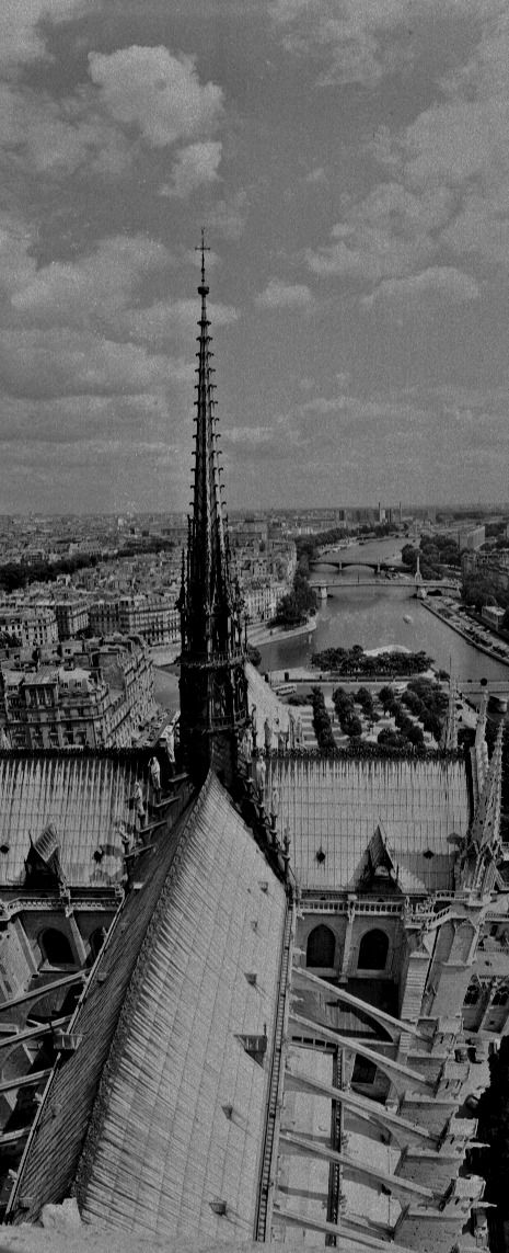 Středová věžička katedrály Notre-Dame, 1975
