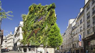 Zákazy starších aut, nová zeleň, cyklostezky. Paříž vstupuje do ekologické éry