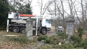 Park u Benešova je kvůli popadaným stromům uzavřený.