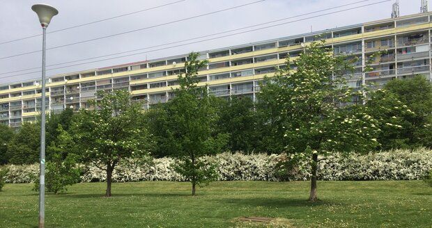 Park Přátelství.