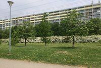 Park Přátelství bude do léta hotový. Pozemky jsou ale stále vedeny jako stavební, Praha 9 chystá změnu