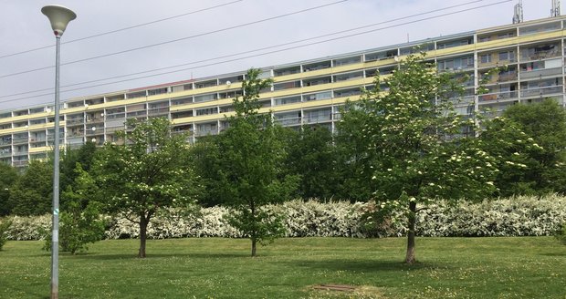 Park Přátelství bude do léta hotový. Pozemky jsou ale stále vedeny jako stavební, Praha 9 chystá změnu