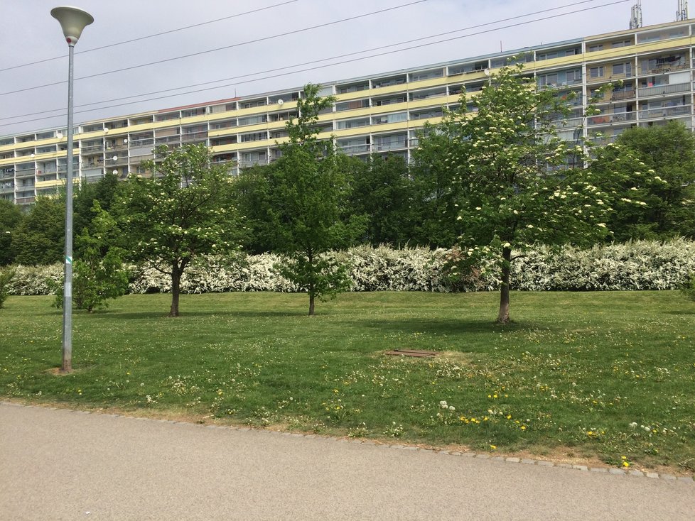 Park Přátelství. V pozadí je vidět vysoké vedení ještě před započetím demoličních prací.