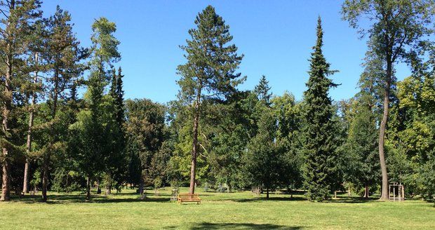 Spolek pro Faunapark chce ve Frýdku-Místku zachránit zpustlý park a obnovit v něm zookoutek. Radnice nyní přislíbila 400 tisíc. Ilustrační foto