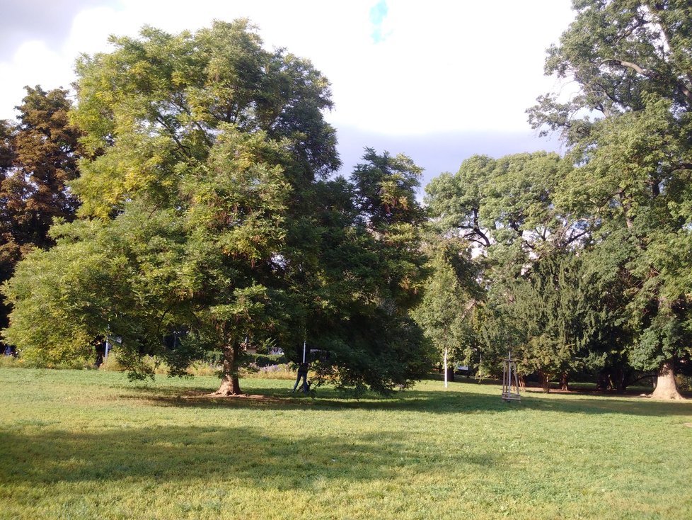 Park byl vybudován na začátku 20. století.