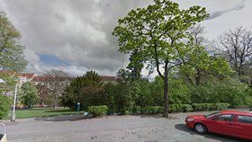 Rozhodněte o parku na Vinohradech: Radnice přes web zjišťuje, co chcete změnit či zachovat