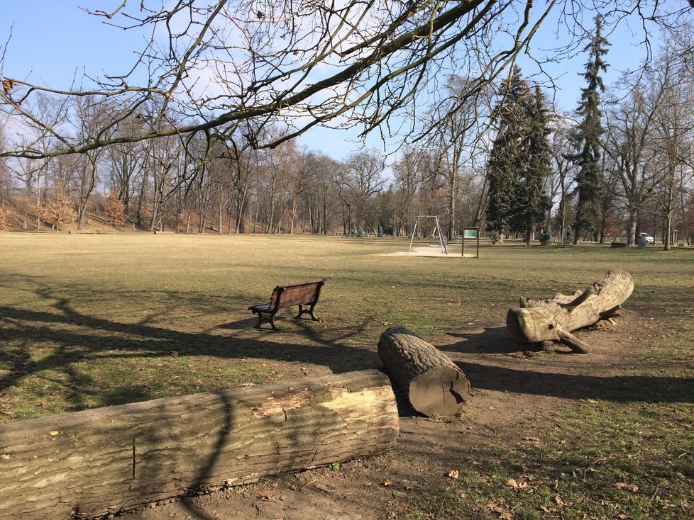 Stromovka se potýká s náporem pejskařů.