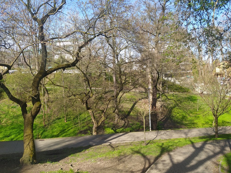 Park Willyho Brandta, kterým prochází Chittussiho ulice, patří k jedněm z nejmalebnějších v Praze. Napomáhá mu jeho vzezření malého údolíčka uprostřed vilové zástavby v Bubenče.