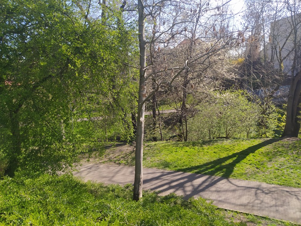 Park Willyho Brandta, který protíná Chittussiho ulice, je schovaný uprostřed zástavby bubenečských vil v pomyslném přírodním ďolíčku. To z něj činí jeden z nejoriginálnějších a nejmalebnějších parků v Praze vůbec.