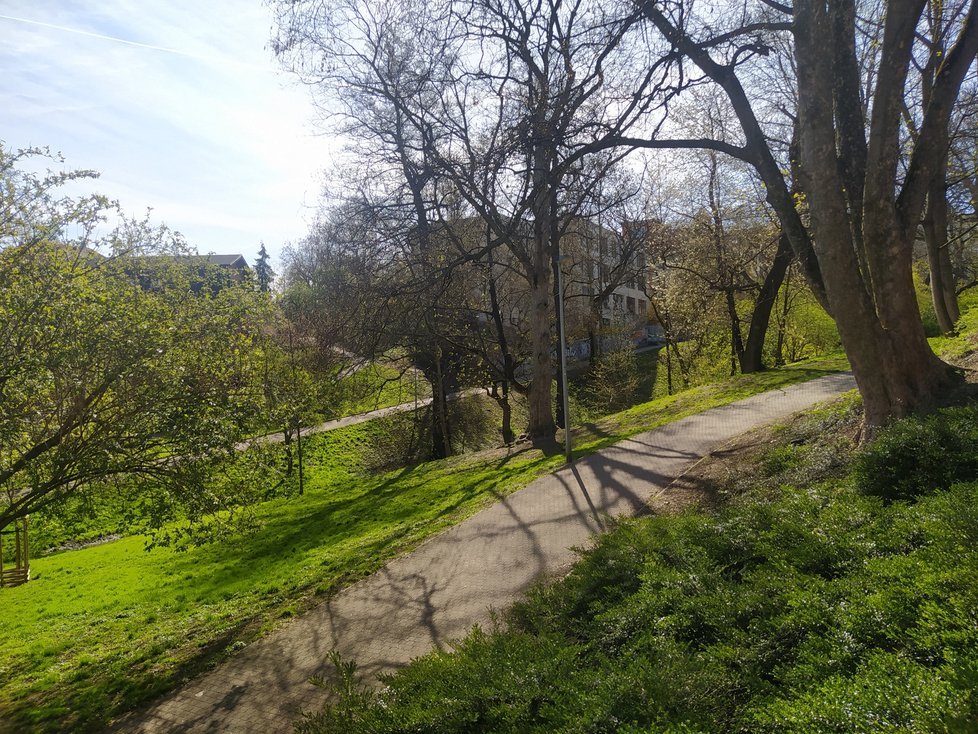 Park Willyho Brandta, který protíná Chittussiho ulice, je schovaný uprostřed zástavby bubenečských vil v pomyslném přírodním ďolíčku. To z něj činí jeden z nejoriginálnějších a nejmalebnějších parků v Praze vůbec.