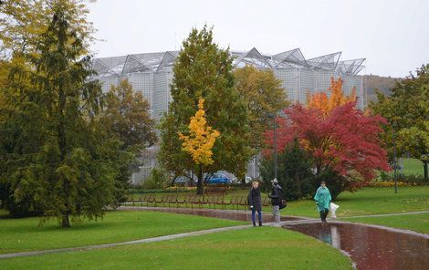 I deštivý podzim má v parku svůj půvab.