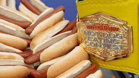 Fourth of July Hot Dog - soutěž v pojídání hot dogů, kde zvítězil Joey Chestnut. Sněl 76 párků
