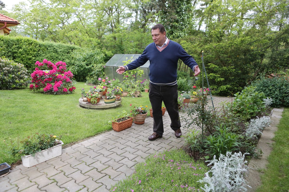  Jiří Paroubek má pro pěnišníky, což je český botanický název pro rododendron, slabost. „O květiny a zahradu pečuji já, manželka Petra na to moc není. Ta má na starosti domácnost.“