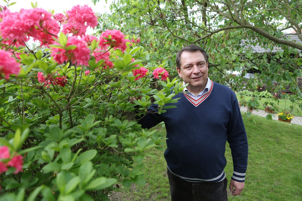  „Tento speciální rododendron jsem dostal od zahradníka asi před čtyřmi roky. Je obzvlášť krásný a zasadil jsem ho již vzrostlý.“