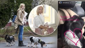 Petra Paroubková v slzách: Do klobáskového nebe odešel jeden z jejích tří miláčků 