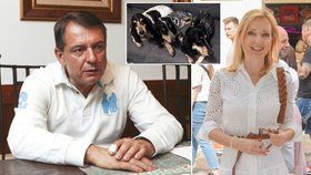 Petra Paroubková po rozvodu s Jiřím: Chvalozpěv a střídavá péče! 
