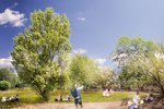 Předpokládaný vzhled parku Kapslovna na jaře 2022 pod Parukářkou. Tým vede zahradní architekt Zdeněk Sendler