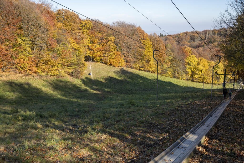 Na stromě, kde se Pašek oběsil, zůstala rýha po laně.