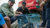 Chamtivec v Indonésii pytlačil vzácná zvířata: Odhalili ho ochránci z Ostravy a Liberce