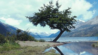 Výprava do národního parku Los Glaciares aneb Přímou cestou k srdci Patagonie Výprava do národního parku Los Glaciares aneb Přímou cestou k srdci Patagonie