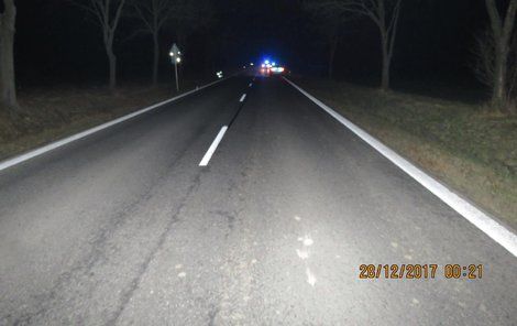 Řidič ženu srazil na silnici spojující Plzeň s jihem Čech.