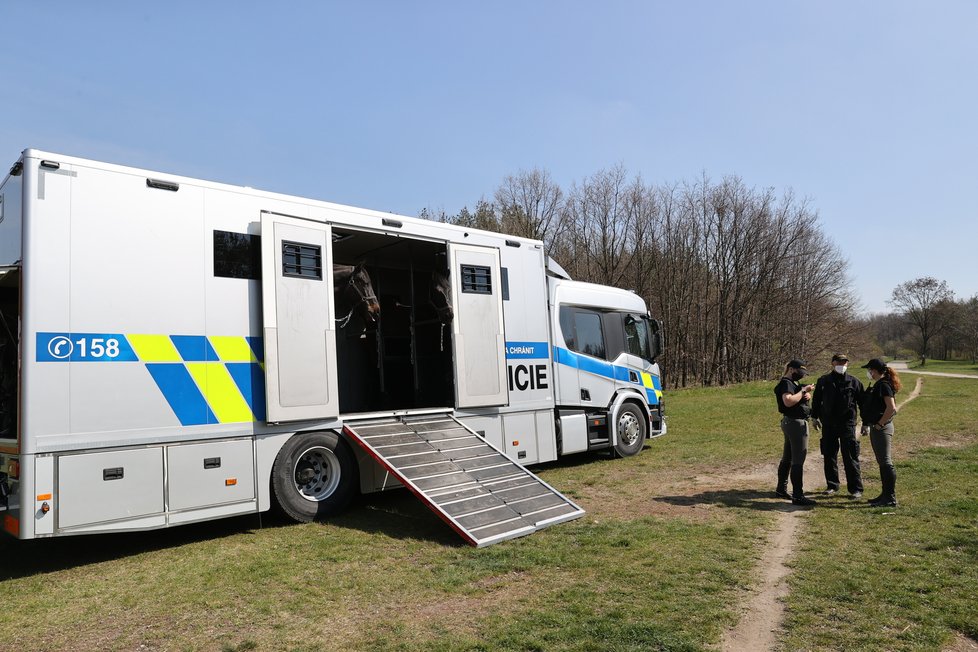 Policisté vypátrali hledaného Adama B. (14) v Dolních Chabrech. Ukrýval se poblíž domu, kde té noci došlo k útoku nožem na starší ženu a jejího syna. (28. duben 2021)