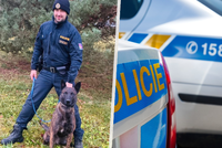 Ze strachu z čertů utekl z domu: Ztraceného hocha vypátral pes Ludvík!