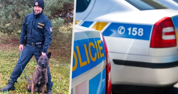 Ztraceného hocha našel pes Ludvík.