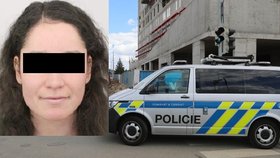 Pražští policisté pátrali po Janě R. Žena s psychickými problémy odešla v pátek ráno z domova a nedala o sobě vědět. Našel ji až náhodný pár poblíž Nižboru.