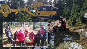 Pátrání po seniorovi trvalo tři dny: Vrtulník ho našel v bezvědomí v lese, policisté ho museli resuscitovat