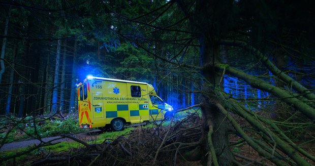 Pátrání po zraněné ženě v Královéhradeckém kraji.